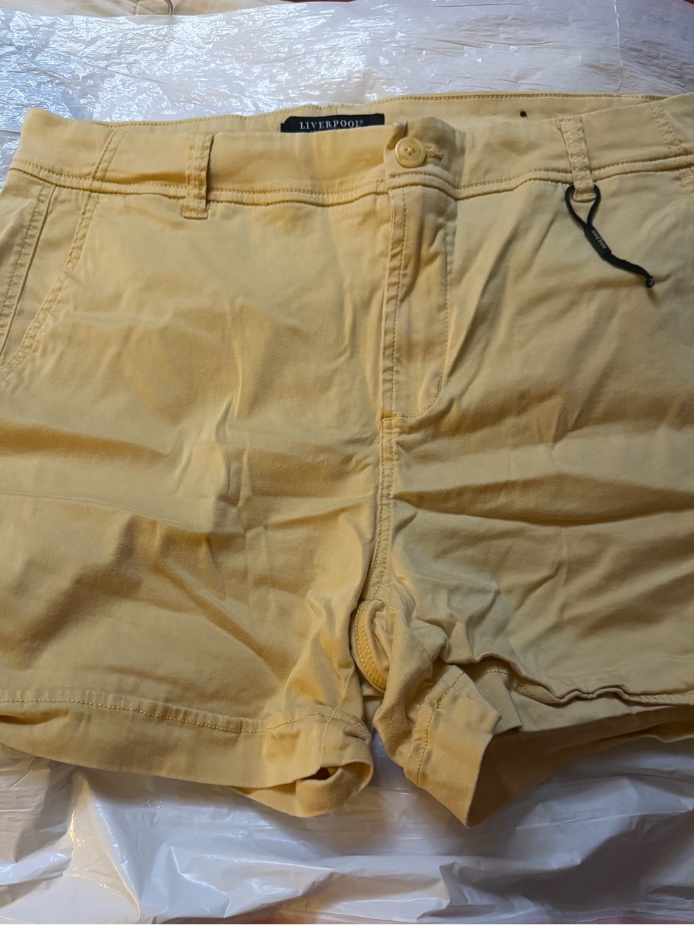 Liverpool  Cotton Chinos in Light Yellow